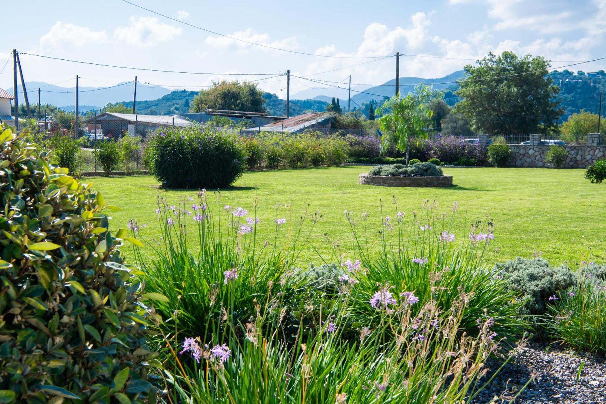 Ruellia Luxury Apartments Kalligoni 外观 照片